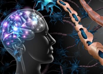 MS Could Begin More Than a Decade Before Symptoms – New Research Rewrites the Timeline