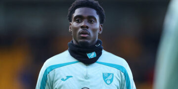 Socceroos striker Mohamed Touré suffers groin injury playing for Norwich City in the Championship, sidelined for six weeks