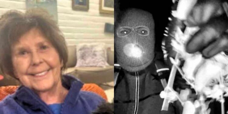 DNA On Black Glove Matches Suspect At Nancy Guthrie’s Home