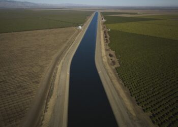 Why farmers in California are backing a giant solar farm : NPR