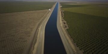 Why farmers in California are backing a giant solar farm : NPR