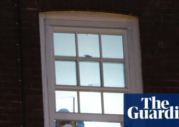 Murder arrest after 18-day-old baby falls from central London property | London