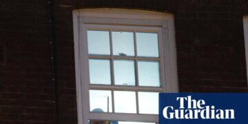 Murder arrest after 18-day-old baby falls from central London property | London