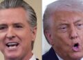 Trump Ripped After ‘Disgusting’ New Attack On Newsom