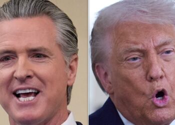 Trump Ripped After ‘Disgusting’ New Attack On Newsom