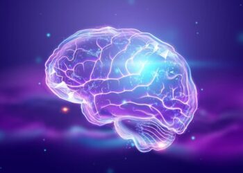 This Overlooked Brain Region May Hold the Key to Strength in Aging