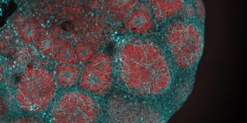 Viagra Ingredient Shows Promise for Rare Childhood Brain Disease in Surprising Study