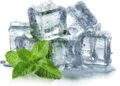 Why Mint Feels Cold: Scientists Reveal the Hidden Mechanism