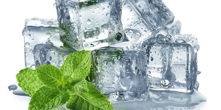 Why Mint Feels Cold: Scientists Reveal the Hidden Mechanism