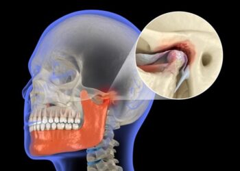 New Enzyme Discovery Could Protect Jaw Cartilage and Stop Arthritis