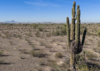 US suffers hottest March day ever recorded as heat dome drives up temperatures | US News