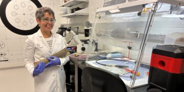 Colossal aims to bring woolly mammoths back from extinction : NPR